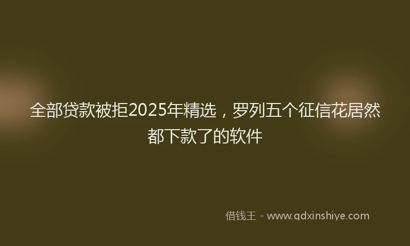 全部贷款被拒2025年精选，罗列五个征信花居然都下款了的软件