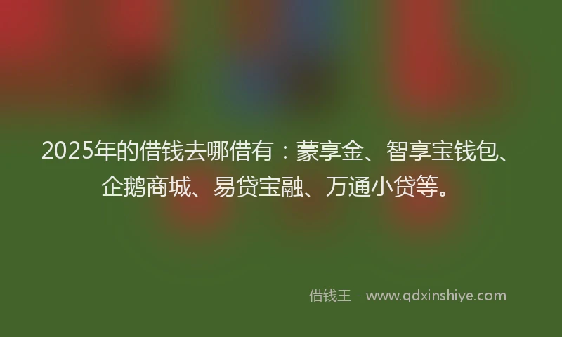 2025年的借钱去哪借有：蒙享金、智享宝钱包、企鹅商城、易贷宝融、万通小贷等。