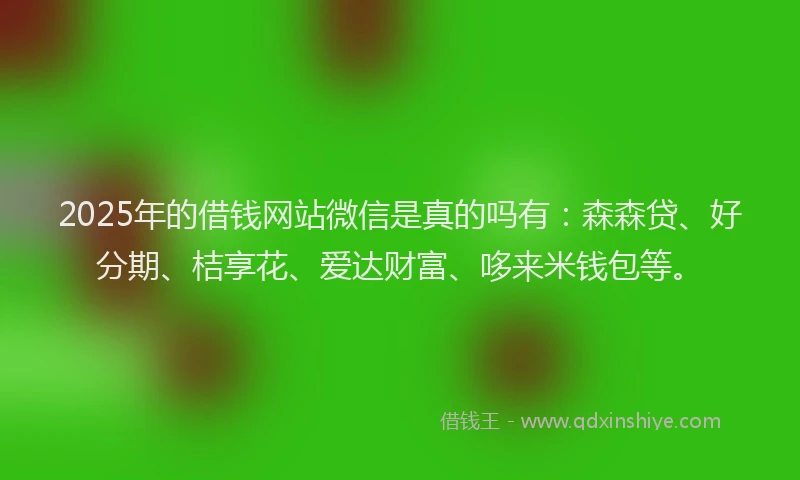 2025年的借钱网站微信是真的吗有：森森贷、好分期、桔享花、爱达财富、哆来米钱包等。