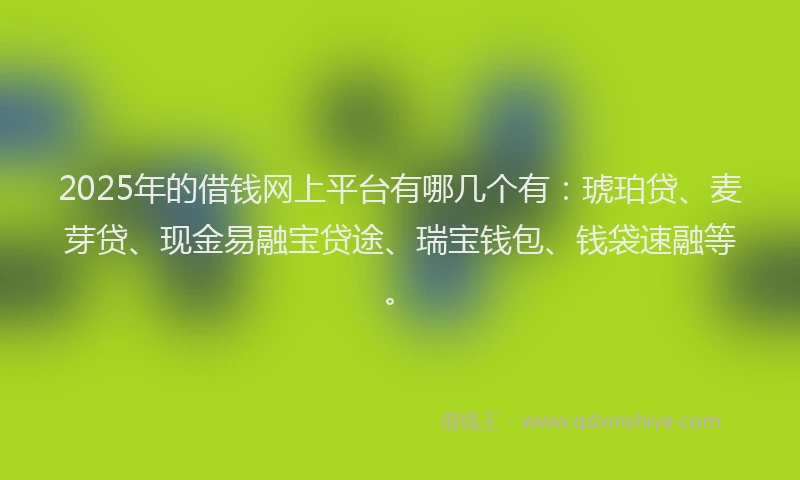 2025年的借钱网上平台有哪几个有：琥珀贷、麦芽贷、现金易融宝贷途、瑞宝钱包、钱袋速融等。