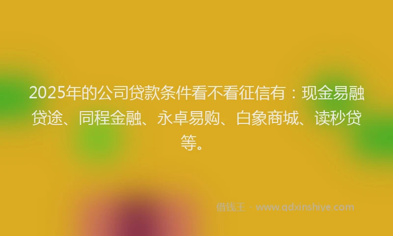 2025年的公司贷款条件看不看征信有：现金易融贷途、同程金融、永卓易购、白象商城、读秒贷等。