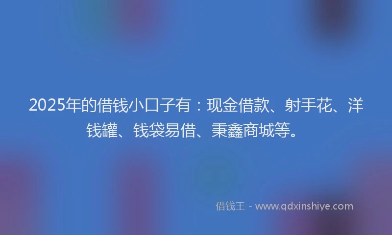 2025年的借钱小口子有：现金借款、射手花、洋钱罐、钱袋易借、秉鑫商城等。