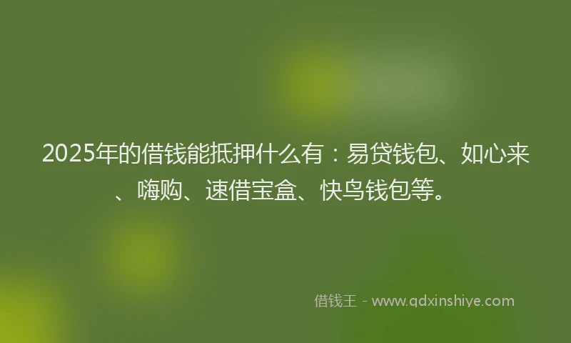 2025年的借钱能抵押什么有：易贷钱包、如心来、嗨购、速借宝盒、快鸟钱包等。
