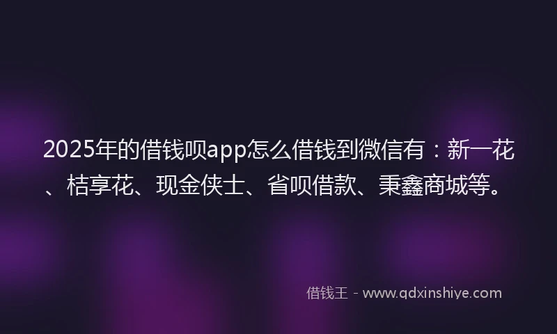 2025年的借钱呗app怎么借钱到微信有：新一花、桔享花、现金侠士、省呗借款、秉鑫商城等。