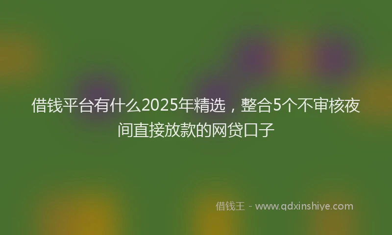 借钱平台有什么2025年精选，整合5个不审核夜间直接放款的网贷口子