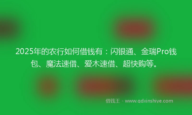 2025年的农行如何借钱有：闪银通、金瑞Pro钱包、魔法速借、爱木速借、超快购等。