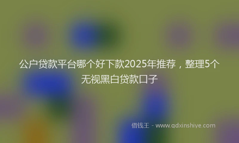 公户贷款平台哪个好下款2025年推荐，整理5个无视黑白贷款口子