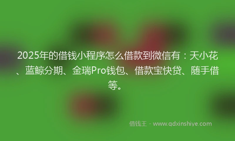 2025年的借钱小程序怎么借款到微信有：天小花、蓝鲸分期、金瑞Pro钱包、借款宝快贷、随手借等。