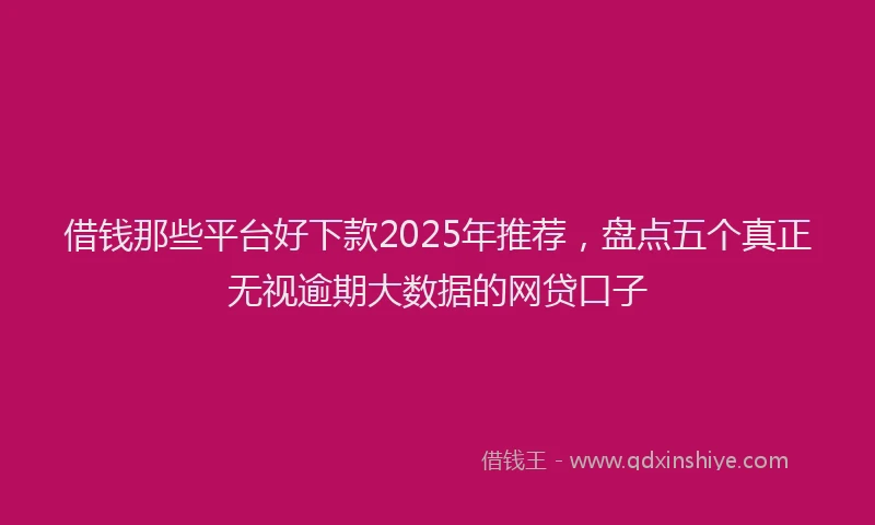 借钱那些平台好下款2025年推荐，盘点五个真正无视逾期大数据的网贷口子