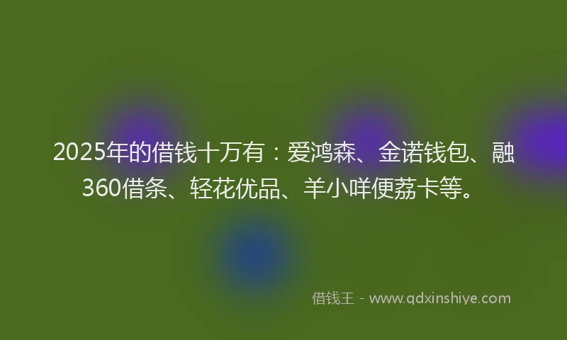 2025年的借钱十万有：爱鸿森、金诺钱包、融360借条、轻花优品、羊小咩便荔卡等。