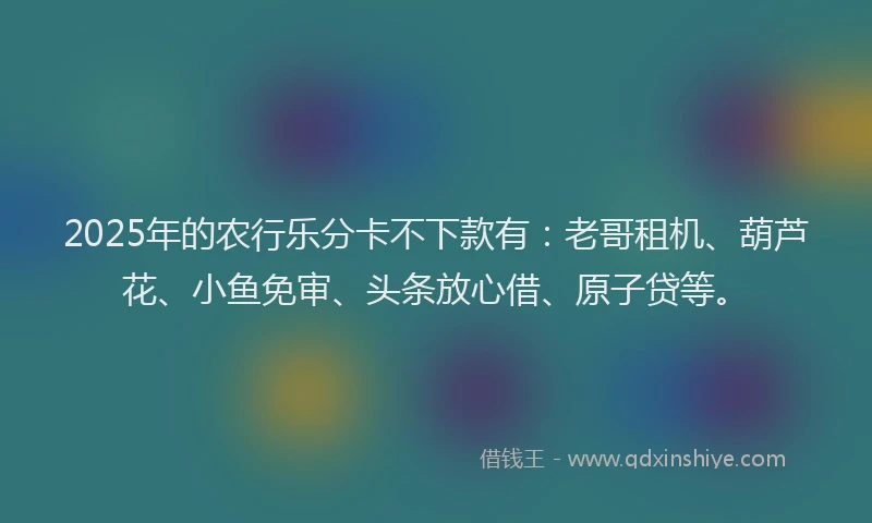 2025年的农行乐分卡不下款有：老哥租机、葫芦花、小鱼免审、头条放心借、原子贷等。