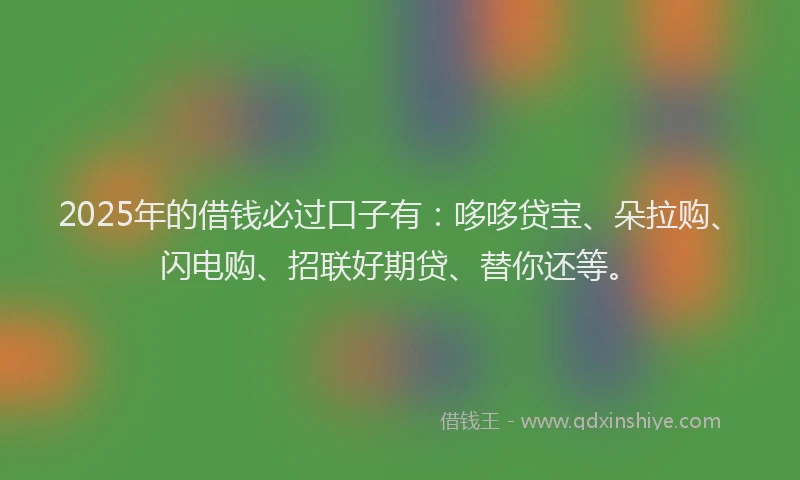 2025年的借钱必过口子有：哆哆贷宝、朵拉购、闪电购、招联好期贷、替你还等。