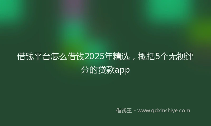 借钱平台怎么借钱2025年精选，概括5个无视评分的贷款app