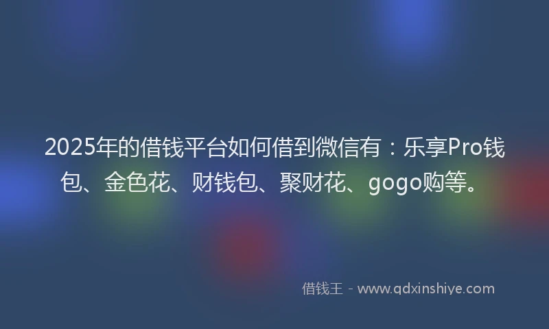 2025年的借钱平台如何借到微信有：乐享Pro钱包、金色花、财钱包、聚财花、gogo购等。