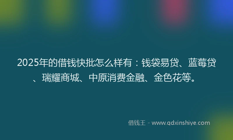 2025年的借钱快批怎么样有：钱袋易贷、蓝莓贷、瑞耀商城、中原消费金融、金色花等。