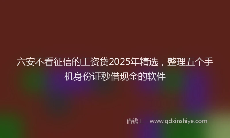 六安不看征信的工资贷2025年精选，整理五个手机身份证秒借现金的软件