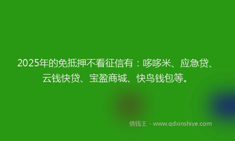 2025年的免抵押不看征信有：哆哆米、应急贷、云钱快贷、宝盈商城、快鸟钱包等。