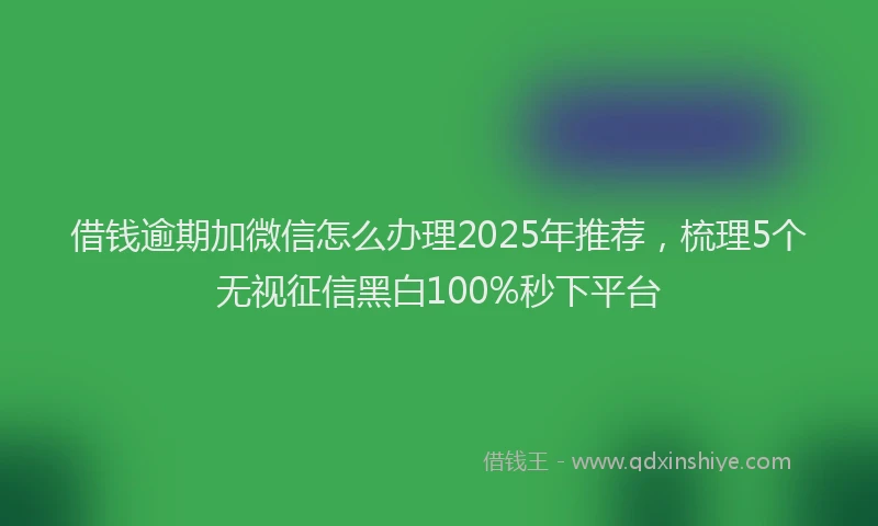 借钱逾期加微信怎么办理2025年推荐，梳理5个无视征信黑白100%秒下平台
