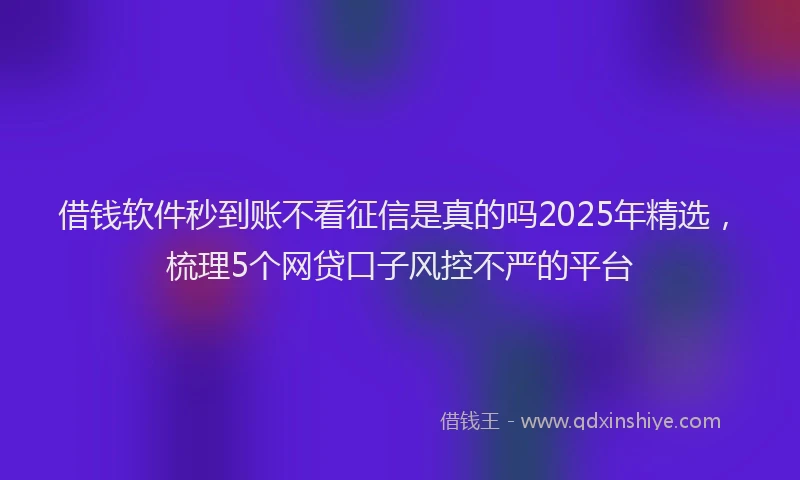 借钱软件秒到账不看征信是真的吗2025年精选，梳理5个网贷口子风控不严的平台