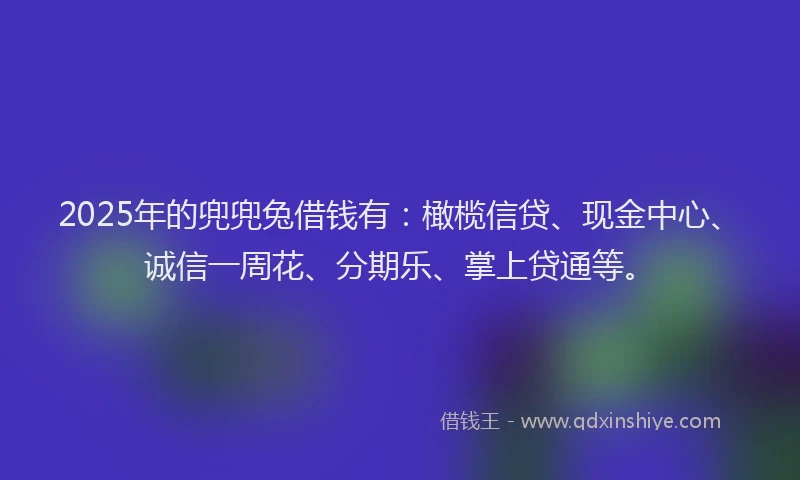 2025年的兜兜兔借钱有：橄榄信贷、现金中心、诚信一周花、分期乐、掌上贷通等。