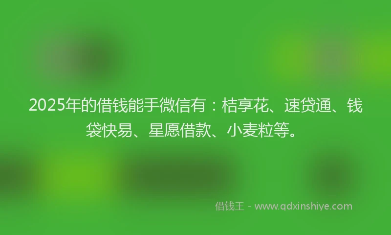 2025年的借钱能手微信有：桔享花、速贷通、钱袋快易、星愿借款、小麦粒等。