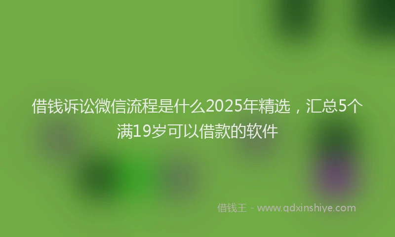 借钱诉讼微信流程是什么2025年精选，汇总5个满19岁可以借款的软件