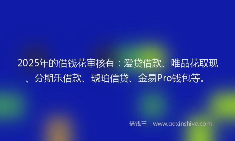 2025年的借钱花审核有：爱贷借款、唯品花取现、分期乐借款、琥珀信贷、金易Pro钱包等。