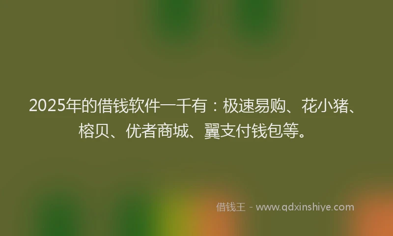 2025年的借钱软件一千有：极速易购、花小猪、榕贝、优者商城、翼支付钱包等。