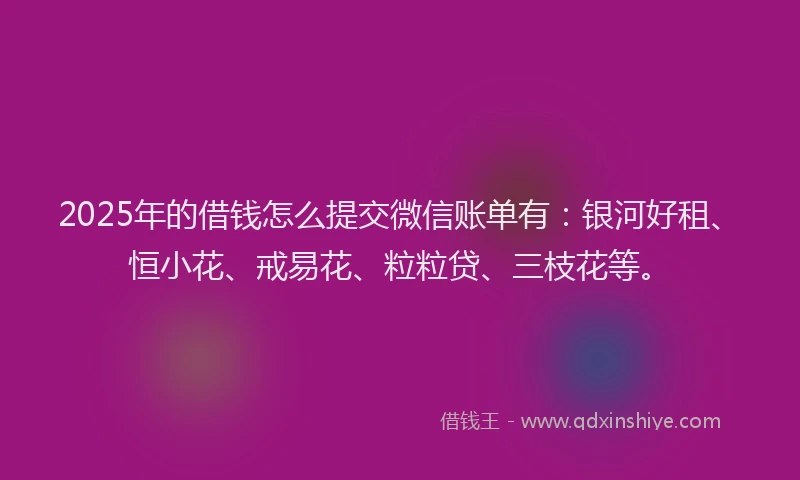 2025年的借钱怎么提交微信账单有：银河好租、恒小花、戒易花、粒粒贷、三枝花等。