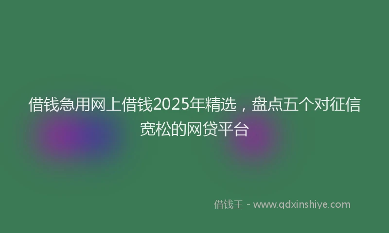借钱急用网上借钱2025年精选，盘点五个对征信宽松的网贷平台