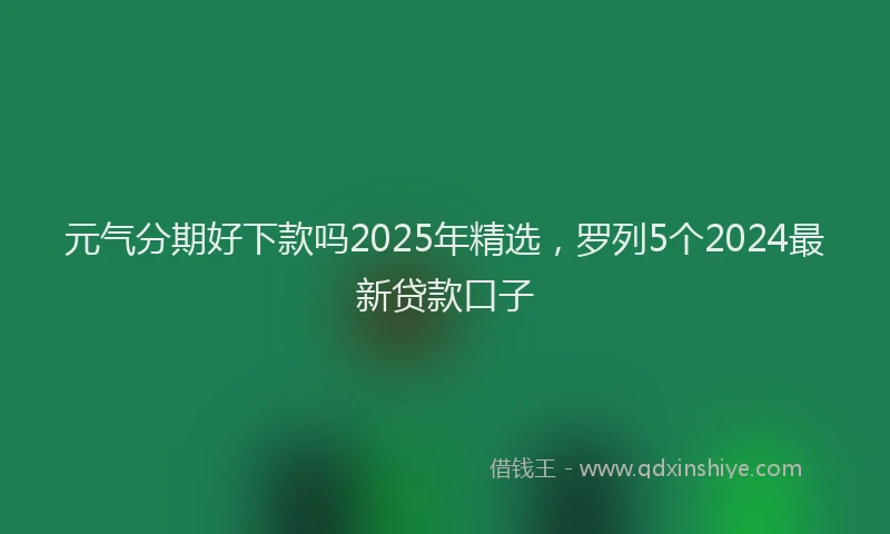 元气分期好下款吗2025年精选，罗列5个2024最新贷款口子
