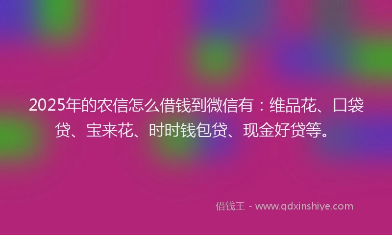 2025年的农信怎么借钱到微信有：维品花、口袋贷、宝来花、时时钱包贷、现金好贷等。