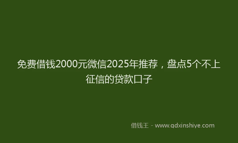 免费借钱2000元微信2025年推荐，盘点5个不上征信的贷款口子