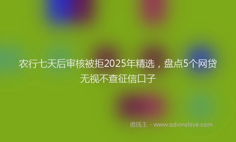 农行七天后审核被拒2025年精选，盘点5个网贷无视不查征信口子