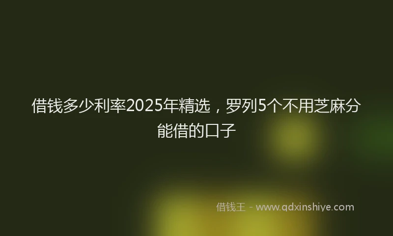 借钱多少利率2025年精选，罗列5个不用芝麻分能借的口子