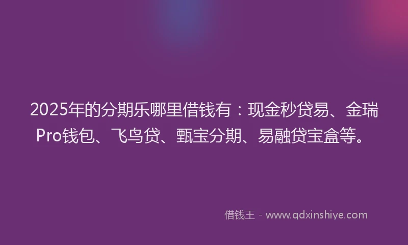 2025年的分期乐哪里借钱有：现金秒贷易、金瑞Pro钱包、飞鸟贷、甄宝分期、易融贷宝盒等。