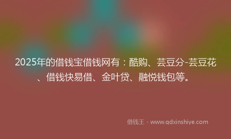 2025年的借钱宝借钱网有：酷购、芸豆分-芸豆花、借钱快易借、金叶贷、融悦钱包等。