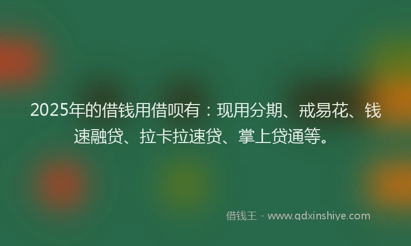 2025年的借钱用借呗有：现用分期、戒易花、钱速融贷、拉卡拉速贷、掌上贷通等。