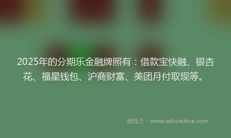 2025年的分期乐金融牌照有：借款宝快融、银杏花、福星钱包、沪商财富、美团月付取现等。
