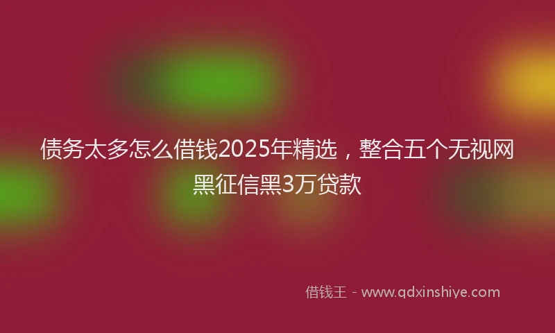 债务太多怎么借钱2025年精选，整合五个无视网黑征信黑3万贷款