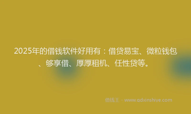 2025年的借钱软件好用有：借贷易宝、微粒钱包、够享借、厚厚租机、任性贷等。