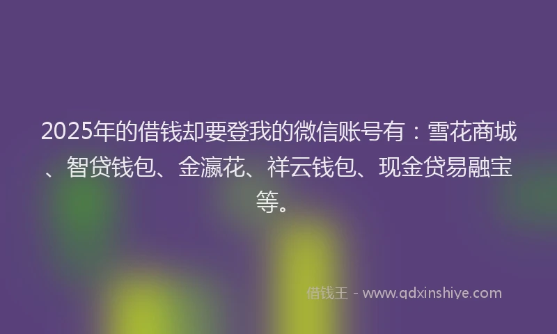 2025年的借钱却要登我的微信账号有：雪花商城、智贷钱包、金瀛花、祥云钱包、现金贷易融宝等。