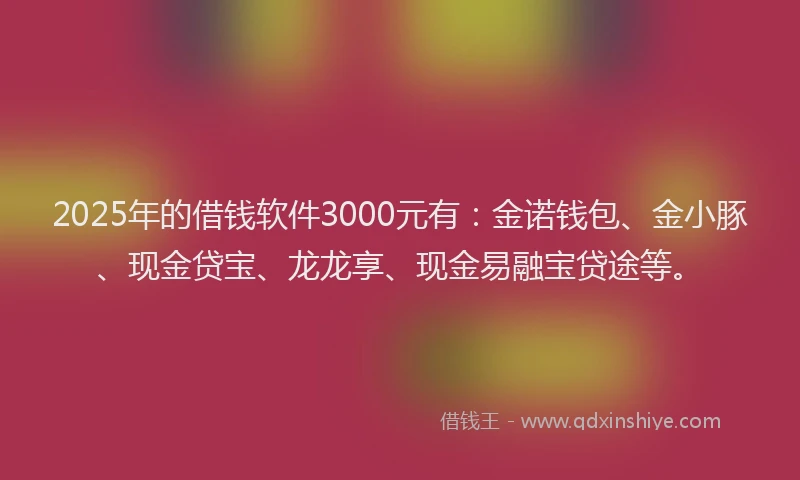 2025年的借钱软件3000元有：金诺钱包、金小豚、现金贷宝、龙龙享、现金易融宝贷途等。