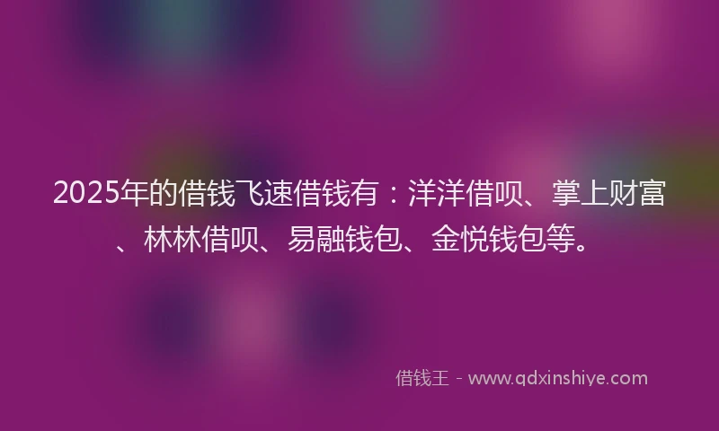 2025年的借钱飞速借钱有：洋洋借呗、掌上财富、林林借呗、易融钱包、金悦钱包等。
