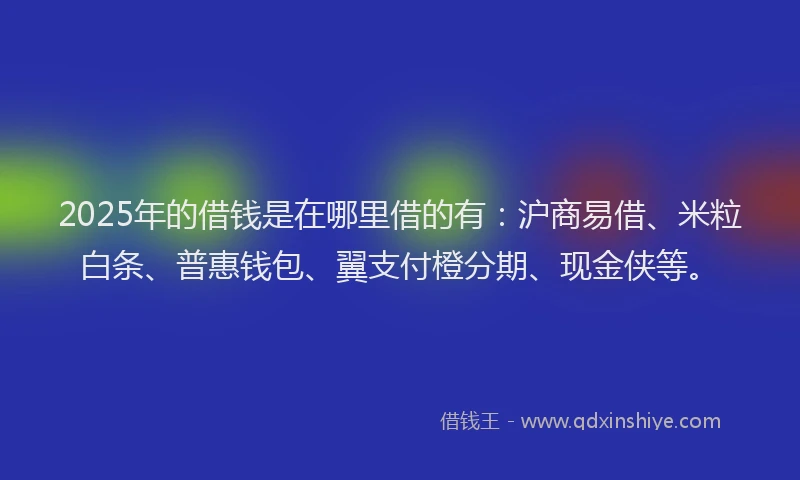 2025年的借钱是在哪里借的有：沪商易借、米粒白条、普惠钱包、翼支付橙分期、现金侠等。