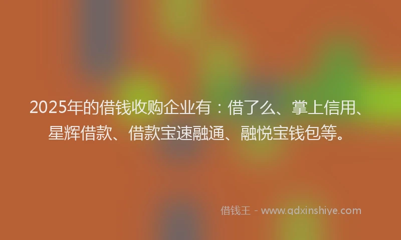 2025年的借钱收购企业有：借了么、掌上信用、星辉借款、借款宝速融通、融悦宝钱包等。