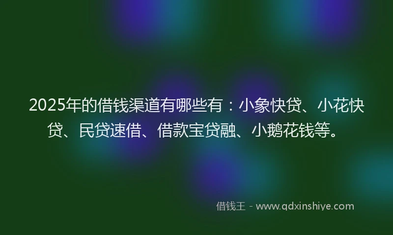 2025年的借钱渠道有哪些有：小象快贷、小花快贷、民贷速借、借款宝贷融、小鹅花钱等。