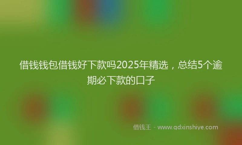 借钱钱包借钱好下款吗2025年精选，总结5个逾期必下款的口子