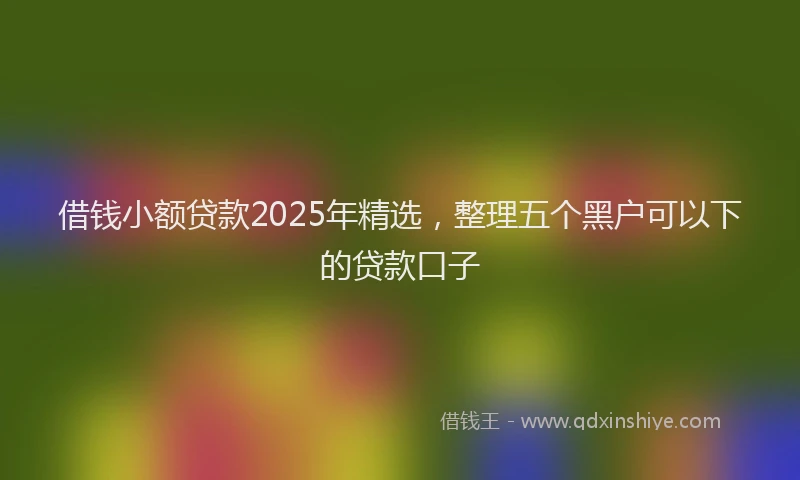 借钱小额贷款2025年精选，整理五个黑户可以下的贷款口子