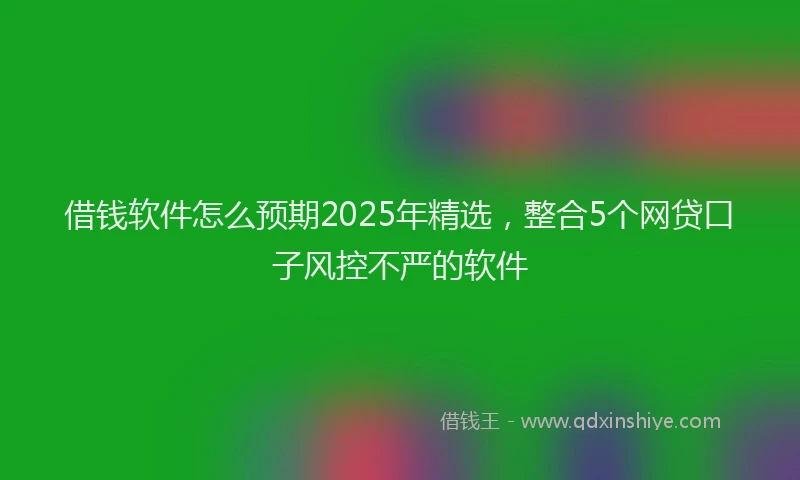 借钱软件怎么预期2025年精选，整合5个网贷口子风控不严的软件